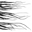 c3150_hair_a_l.png
