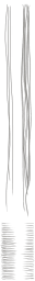 c3170_HR_a_l.png