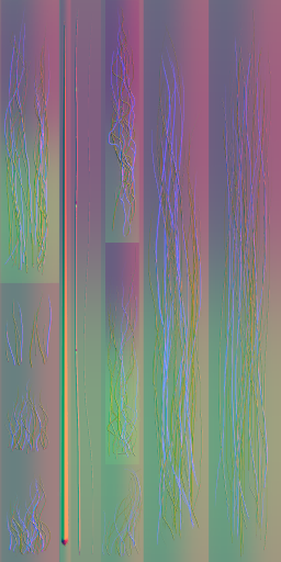 c3181_Hair_n_l.png