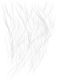 c3201_spiderNet_a_l.png