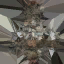 c3360_BD_fur_color_a_l.png