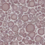 c3371_Foam_a_l.png