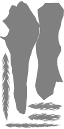 c3450_Wing_a_l.png