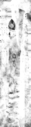 c3470_WP_A_1007_m_l.png