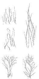 c3800_fur_a_l.png