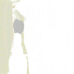 c3950_n_l.png
