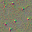 c4040_Skin_T2_n_l.png