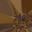 c4040_meat_a_l.png