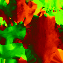 c4070_Body_v_l.png
