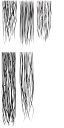 c4100_hair_a_l.png