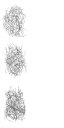 c4100_su_a_l.png