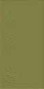c4110_Web_n_l.png