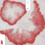 c4166_Mushroom_a_l.png
