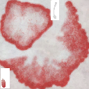 c4167_Mushroom_a_l.png