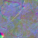 c4167_Mushroom_n_l.png