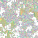 c4170_poisonbody_n_l.png