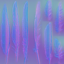 c4171_feather_n_l.png