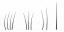c4280_Fur_a_l.png