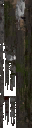 c4383_WP_A_1317_a_l.png