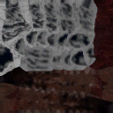 c4503_Tail_a_l.png