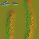 c4504_Feather_1_n_l.png