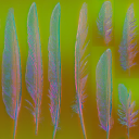 c4561_feather_n_l.png