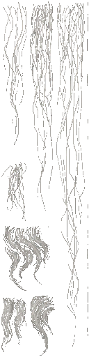 c4602_Fur_a_l.png