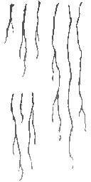 c4640_Fur_a_l.png