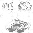 c4710_Moult_1m_l.png
