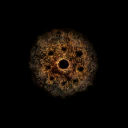 c4760_Eye_em_l.png