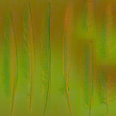 c4800_Feather_n_l.png