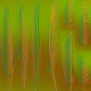 c4980_feather_n_l.png