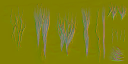 c5010_Fur_n_l.png