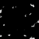 c5030_Flower_Head_1m_l.png