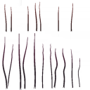 c5030_Fur_a_l.png