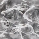 c5070_Wingeffect_scull_a_l.png
