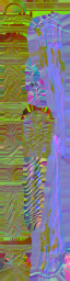 c5080_WP_A_0944_n_l.png