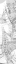 c5160_WP_dagger_m_l.png