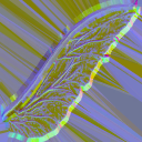 c5190_wing_n_l.png