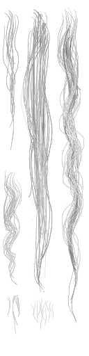 c5210_Hair_a_l.png