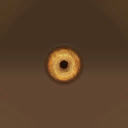 c5220_Radahn_eye_a_l.png