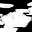 c5250_LG_m_l.png