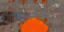 c5260_WP_a_l.png