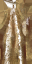 c5311_WP_Plate_a_l.png