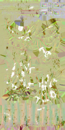 c5360_LG_Bandit_n_l.png