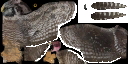 c5430_a_l.png