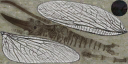 c5470_a_l.png