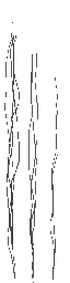 c5511_hair_a_l.png
