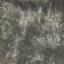 c5525_fur_color_a_l.png