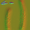 c5580_Feather_1_n_l.png